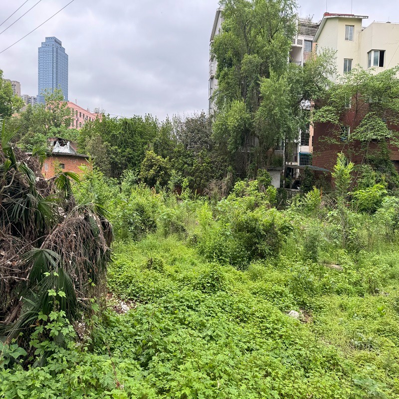 1743492807788971.jpg 圖片關(guān)鍵詞